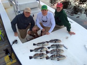 BlackdrumOakislandfishingcharters